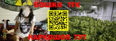 винт Тара